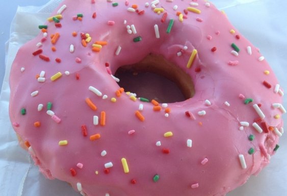 This Year’s Holiday Gift: The Donuts of 2016